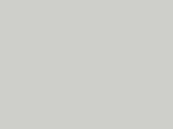Platina HPL ( Satin Light Grey )
